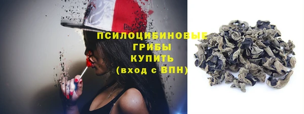 прущий лед Вяземский