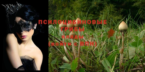 не бодяженный Верея