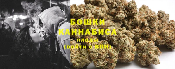 крисы Вязьма