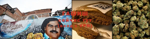 крисы Вязьма
