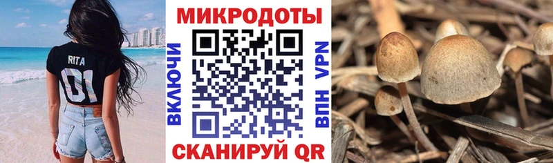 Галлюциногенные грибы ЛСД Зубцов